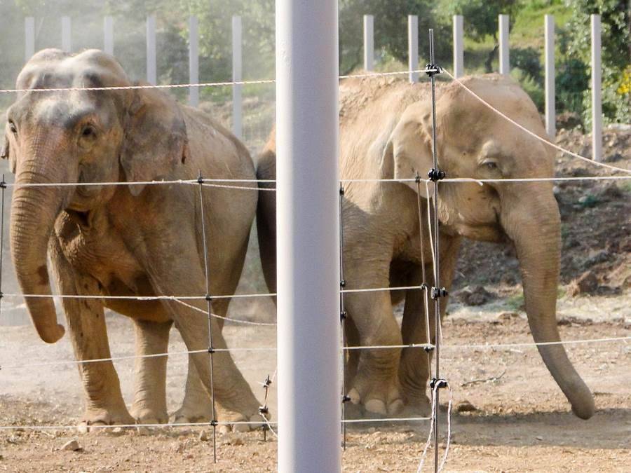 Tratamento de águas residuais para bebês e elefantes do Nepal